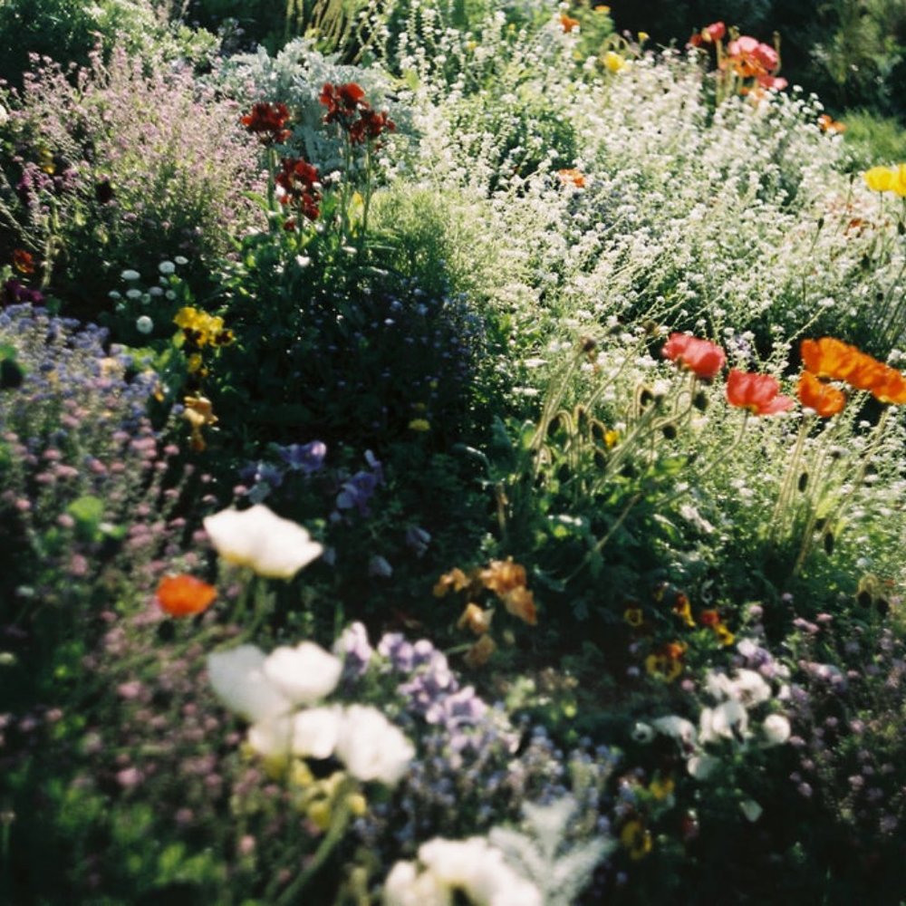 Meet your Posher, Asos